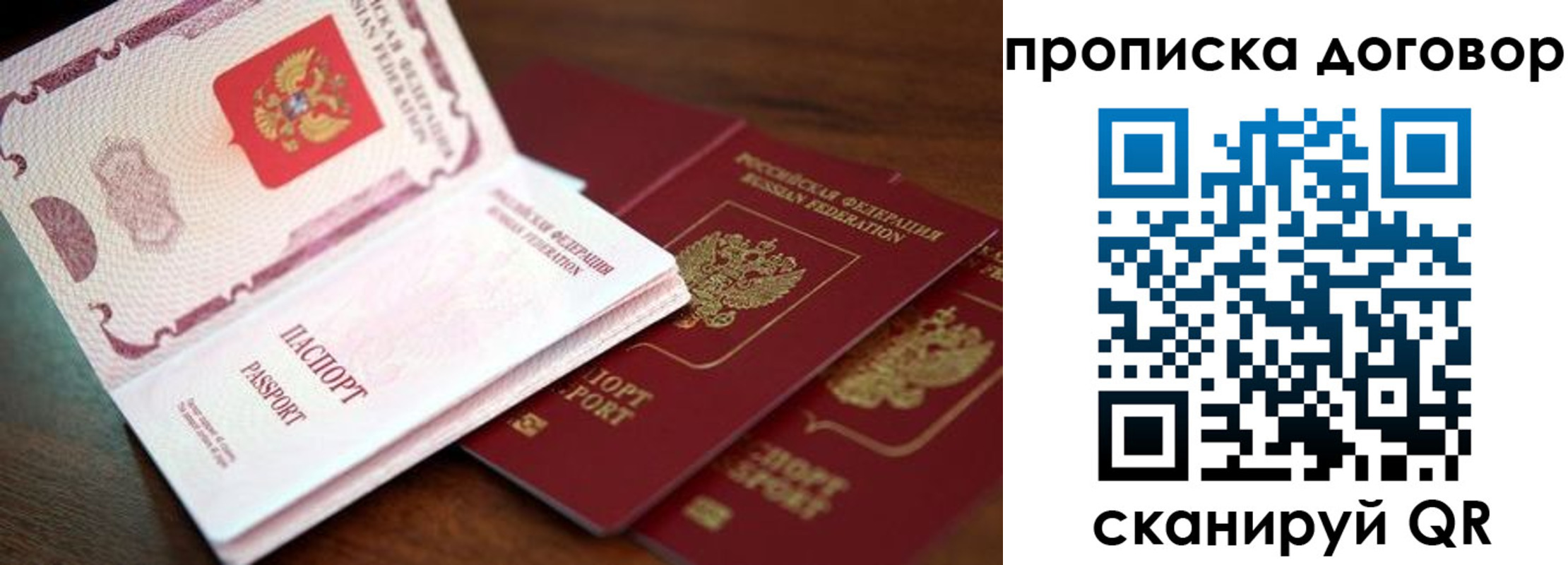 прописка для школы в Королёве